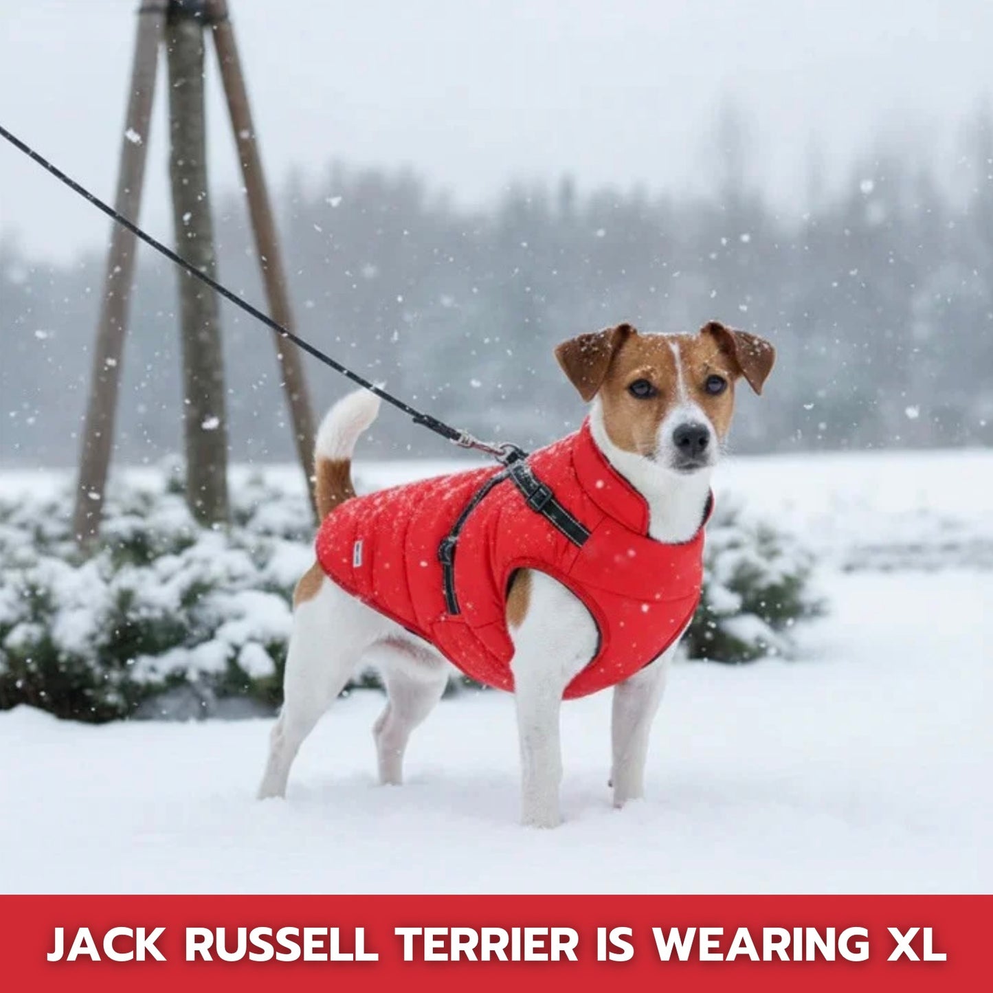 CozyPaw™ 3-in-1 Winter Dog Jacket