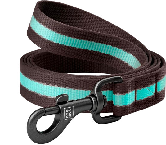 Reflective Dog Leash 2.0