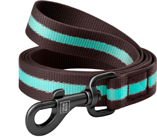 Reflective Dog Leash 2.0