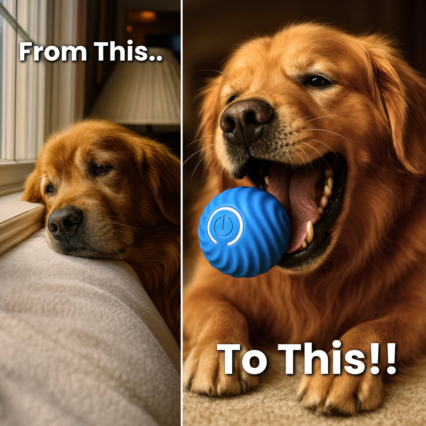 SwirlasRoll 3.0™ [FREE Today]